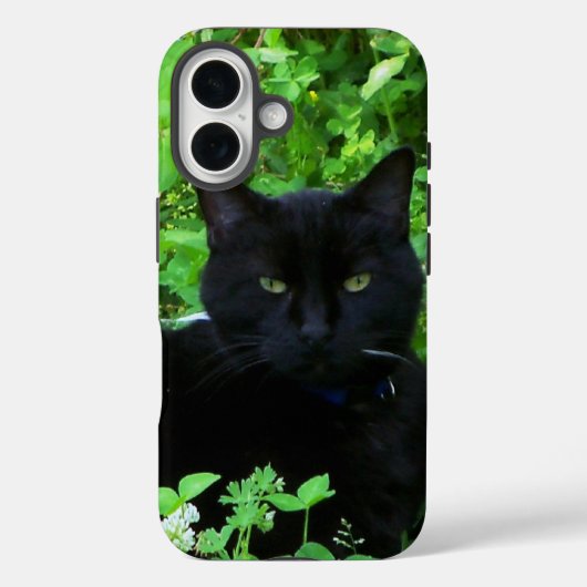 Zwart Cat iPhone / iPad hoesje (Achterkant)