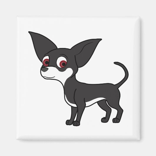 Zwart Chihuahua met witte markeringen Magneet (Voorkant)