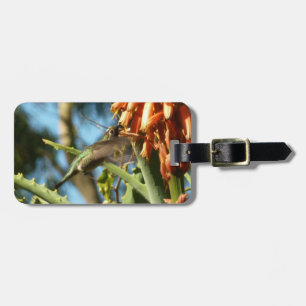 Zwart-Chinese Hummingbird in vlucht Bagagelabel