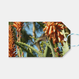 Zwart-Chinese Hummingbird in vlucht Cadeaulabel