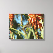 Zwart-Chinese Hummingbird in vlucht Canvas Afdruk (Voorkant)