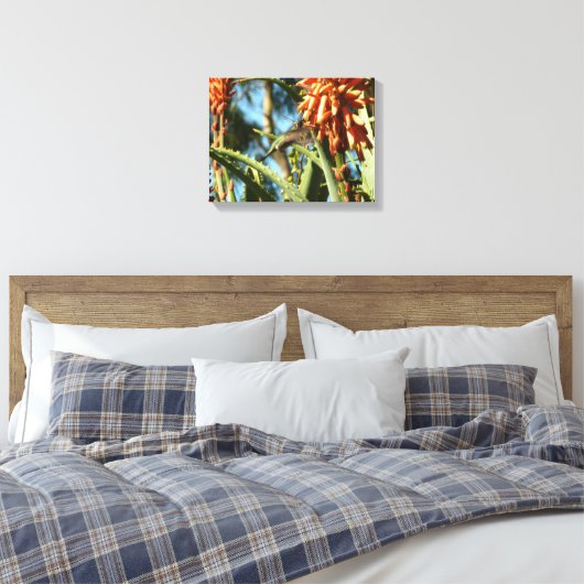 Zwart-Chinese Hummingbird in vlucht Canvas Afdruk (Insitu (Slaapkamer))
