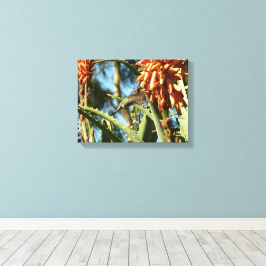 Zwart-Chinese Hummingbird in vlucht Canvas Afdruk (Insitu (Houten vloer))