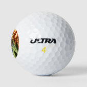 Zwart-Chinese Hummingbird in vlucht Golfballen (Logo)