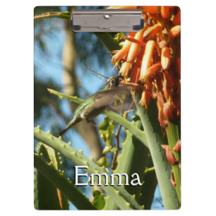 Zwart-Chinese Hummingbird in vlucht Klembord