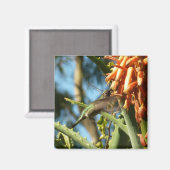 Zwart-Chinese Hummingbird in vlucht Magneet (Voorkant / Achterkant)