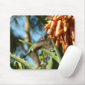 Zwart-Chinese Hummingbird in vlucht Muismat (Met muis)