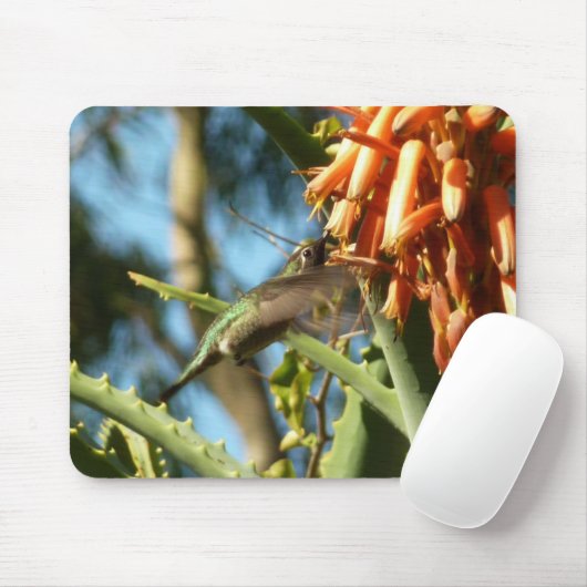 Zwart-Chinese Hummingbird in vlucht Muismat (Met muis)