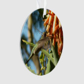 Zwart-Chinese Hummingbird in vlucht Ornament (voorkant)