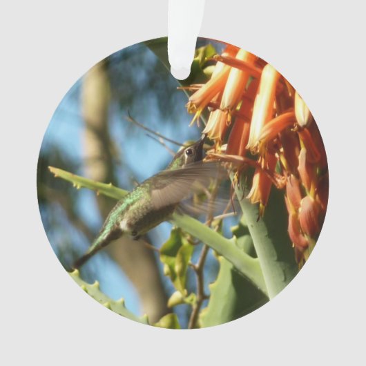 Zwart-Chinese Hummingbird in vlucht Ornament (voorkant)