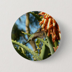 Zwart-Chinese Hummingbird in vlucht Ronde Button 5,7 Cm