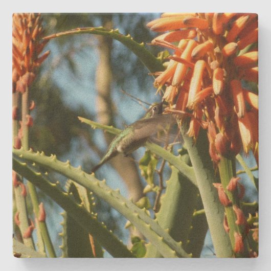 Zwart-Chinese Hummingbird in vlucht Stenen Onderzetter (Voorkant)