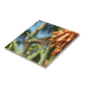 Zwart-Chinese Hummingbird in vlucht Tegeltje (Zijkant)