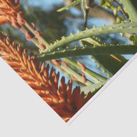 Zwart-Chinese Hummingbird in vlucht Tissuepapier (Detail)