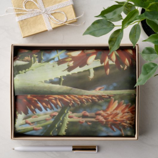 Zwart-Chinese Hummingbird in vlucht Tissuepapier (Geschenk)