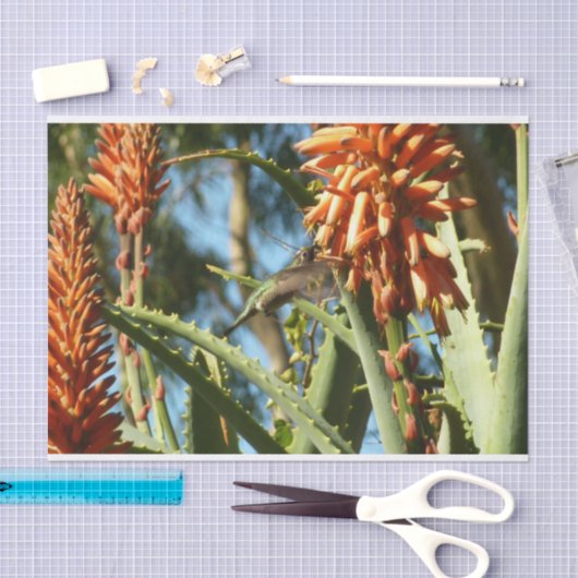 Zwart-Chinese Hummingbird in vlucht Tissuepapier (Craft)