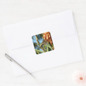 Zwart-Chinese Hummingbird in vlucht Vierkante Sticker (Envelop)