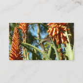 Zwart-Chinese Hummingbird in vlucht Visitekaartje (Achterkant)