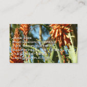 Zwart-Chinese Hummingbird in vlucht Visitekaartje (Voorkant)