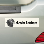 Zwart-chocolade labrador Retriever Bumpersticker (Op auto)