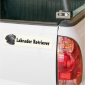 Zwart-chocolade labrador Retriever Bumpersticker (Op Truck)