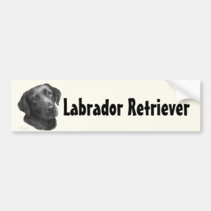 Zwart-chocolade labrador Retriever Bumpersticker