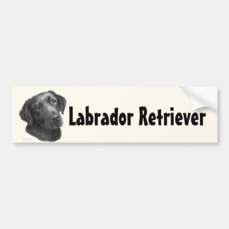 Zwart-chocolade labrador Retriever Bumpersticker