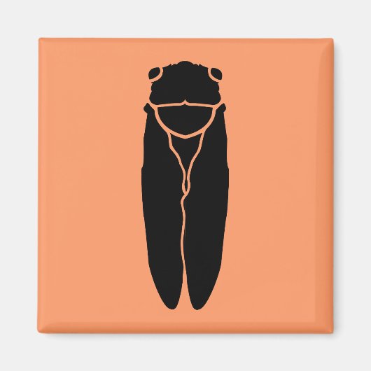 zwart cicada-insect magneet (Voorkant)