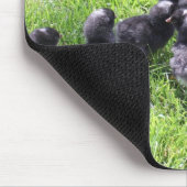 Zwart cochin Chicken met Chicken Mousepad Muismat (Hoek)