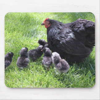 Zwart cochin Chicken met Chicken Mousepad Muismat