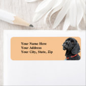 Zwart Cocker Spaniel Label (Insitu)