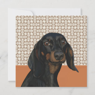 Zwart Dachshund Hondenportret Hondenliefhebbers