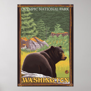 Zwart draag in Bos - Olympisch Nationaal Park, WA Poster