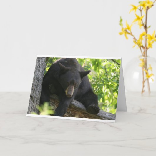 zwart draag kaart (Gele Bloem)