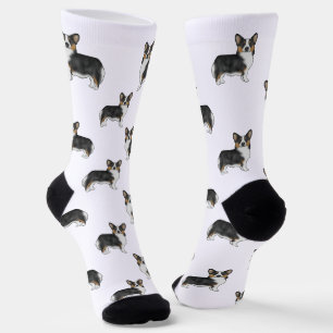 Zwart driekleurige Pembroke Welsh Corgi-hondenpatr Sokken