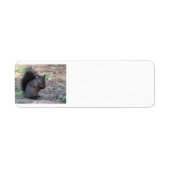 Zwart Eekhoorn retour adres labels (Voorkant)