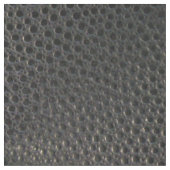 Zwart emu-huidachtig leder stof (Close Up)