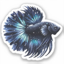 Zwart en Blauwe Betta Vis