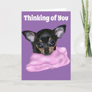 Zwart en bruin Chihuahua Puppy Kaart