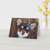 Zwart en bruin Chihuahua wenskaart Kaart (Gele Bloem)