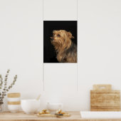 Zwart en bruin Yorkie links profiel op zwart Poster (Keuken)