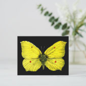 Zwart en geel Vlinder Illustratie Briefkaart (Staand voorkant)