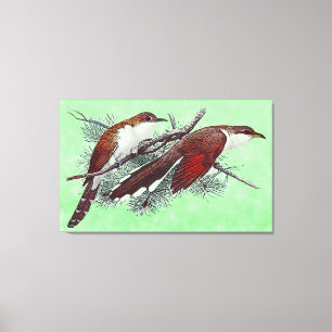 Zwart en geelbruin omhuld omhuld omhuld vogelschil canvas afdruk