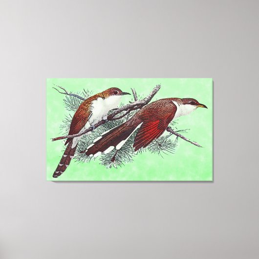 Zwart en geelbruin omhuld omhuld omhuld vogelschil canvas afdruk (Voorkant)