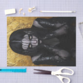 Zwart en goud Beauty17 Tissuepapier (Craft)