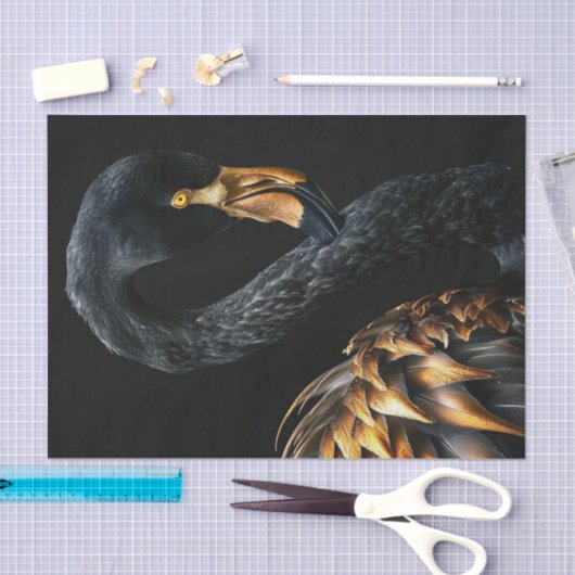 Zwart en Goud Flamingo5 Tissuepapier (Craft)