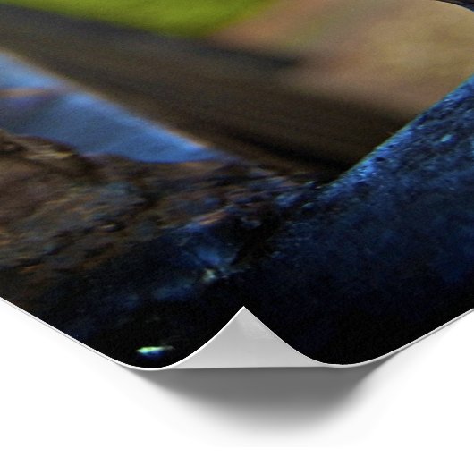 Zwart en goud (Fleur de Lis) [Kunstafdrukken] Poster (Hoek)