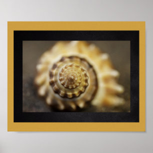 Zwart en Goud Seashell Tropische Printable Art Poster