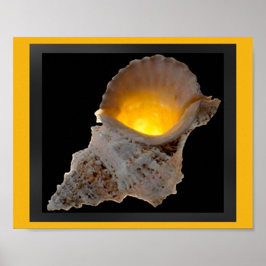 Zwart en Goud Tropische Seashell Printable Art Poster (Voorkant)