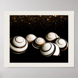 Zwart en Gouden Zeeschelpen Tropische Printable Ar Poster